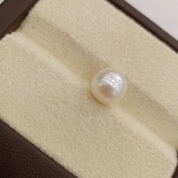 Natural South Sea Pearl – A Symbol of Elegance & Purity Summary No IGCDKBAJ42597 image 1