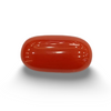 NaturalRed Coral | Certified| Oval CutGemstone Summary No. IGCDKBAJ44933 image 0