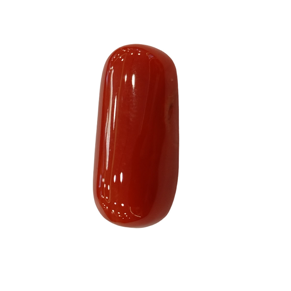 Natural Red Coral | Certified |Capsule Cut Gemstone Summary No. IGCDKBAJ44723 image 1