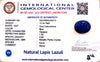 Natural Lapis Lazuli | Oval Cabochon | IGC Certified Certificate No.: IGCDKBAJ42510 image 2