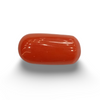 NaturalRed Coral | Certified| Oval CutGemstone Summary No. IGCDKBAJ44934 image 0