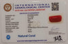 NaturalRed Coral | Certified| Capsule CutGemstone Summary No. IGCDKBAJ44954 image 2