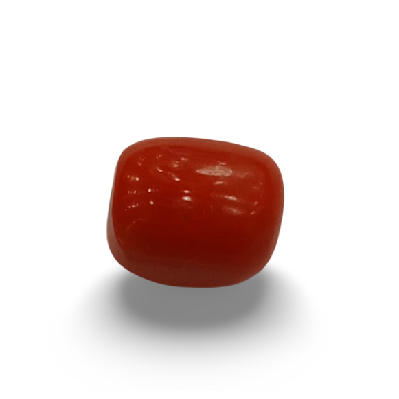 Natural Red Coral | Certified |Capsule Cut Gemstone Summary No. IGCDKBAJ44904 image 0
