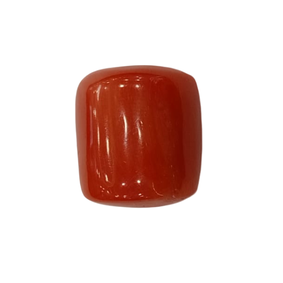 NaturalRed Coral | Certified|Capsule CutGemstone Summary No. IGCDKBAJ53526 image 1