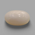 Natural White Coral (Safed Moonga) certified loose gemstone, report no. IGCDKBAJ44681