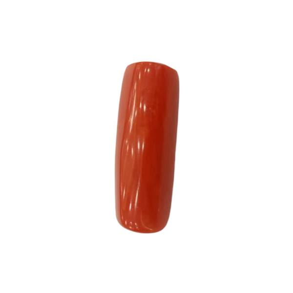Natural Red Coral | Certified |Capsule Cut Gemstone Summary No. IGCDKBAJ44942 image 1