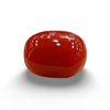 Natural Red Coral | Certified | Oval Cut Gemstone Summary No. IGCDKBAJ57879 image 0