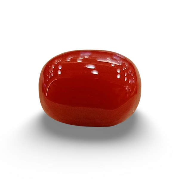 Natural Red Coral | Certified | Oval Cut Gemstone Summary No. IGCDKBAJ57879 image 0