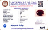 Natural Ruby | Oval Cut | Rich Red Color | IGC Certified No.: IGCDKBAJ44835 image 2