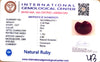 Natural Ruby | Oval Cut | Deep Red Color | IGC Certified No.: IGCDKBAJ47511 image 2