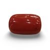 Natural Red Coral | Certified | Oval Cut Gemstone Summary No. IGCDKBAJ57874 image 0