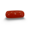 NaturalRed Coral | Certified|Capsule CutGemstone Summary No. IGCDKBAJ47485 image 0