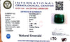 Natural Emerald| Rectangle Cut| Govt. Lab Certified No. IGCDKBAJ46111 image 2
