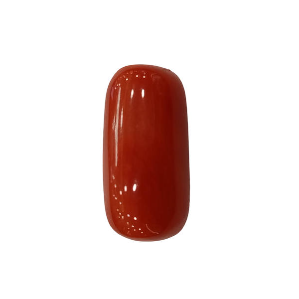 Natural Red Coral | Certified |Capsule Cut Gemstone Summary No. IGCDKBAJ44722 image 1
