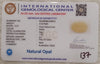 Natural White Opal 2.33 Ratti| Oval Cabochone| Certified No. IGCDKBAJ42912 image 2