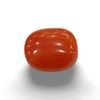 NaturalRed Coral | Certified| Oval CutGemstone Summary No. IGCDKBAJ48753 image 0