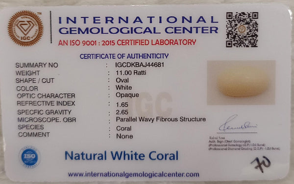 Natural White Coral: The Symbol of Peace and Strength Summary No IGCDKBAJ44681 image 2