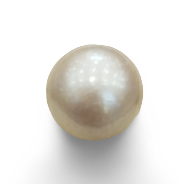 Natural South Sea Pearl (Moti) 18.28 ratti loose gemstone, IGC certified IGCDKBAJ48456