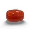 NaturalRed Coral | Certified| Oval CutGemstone Summary No. IGCDKBAJ44882 image 0