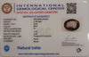 Natural Iolite| Govt. Lab Certified | Oval|Blue withCertificate No.: IGCDKBAJ44624 image 2