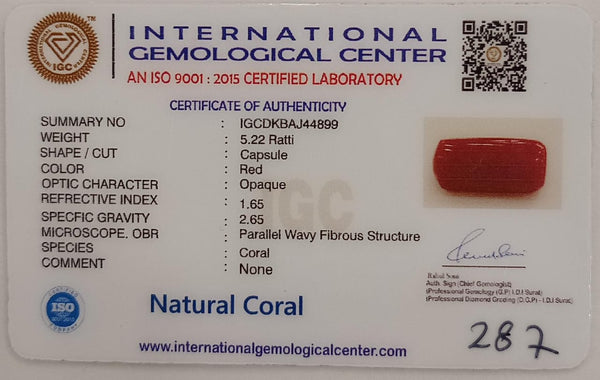 NaturalRed Coral | Certified| Capsule CutGemstone Summary No. IGCDKBAJ44899 image 2