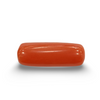 NaturalRed Coral | Certified| Capsule CutGemstone Summary No. IGCDKBAJ44924 image 0