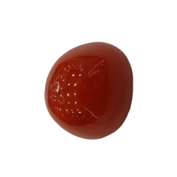 Natural Red Coral | Certified | Unusual Cut Gemstone Summary No. IGCDKBAJ44852 image 1
