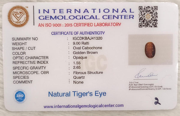 Tiger Eye The Essence of Grounding and Strength Summary No IGCDKBAJ41320 image 2