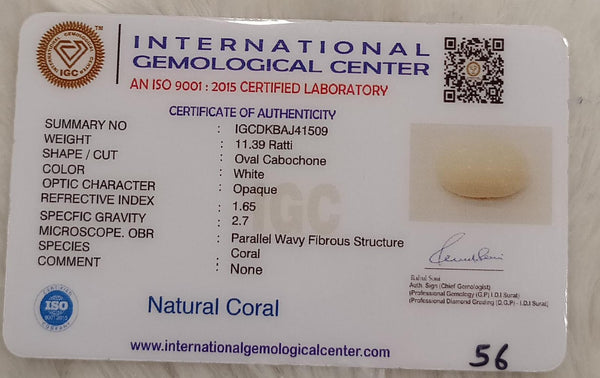 Natural White Coral: The Symbol of Peace and Strength Summary No IGCDKBAJ41509 image 2
