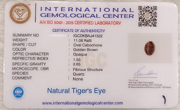 Tiger Eye The Essence of Grounding and Strength Summary No IGCDKBAJ41322 image 2