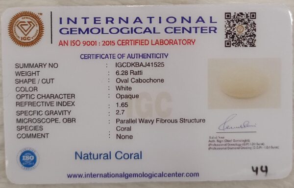 Natural White Coral: The Symbol of Peace and Strength Summary No IGCDKBAJ41525 image 2
