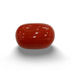 NaturalRed Coral | Certified| Oval CutGemstone Summary No. IGCDKBAJ44896 image 0