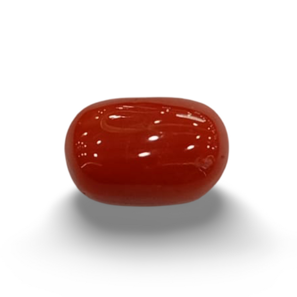 NaturalRed Coral | Certified| Oval CutGemstone Summary No. IGCDKBAJ44896 image 0