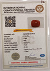 Natural Red Coral | Certified | Oval Cut Gemstone Summary No. IGCDKBAJ57876 image 2