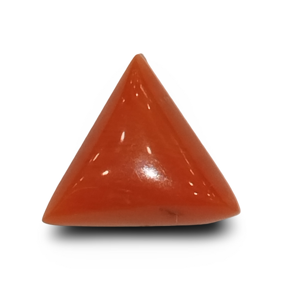Natural Italian Red Coral (Moonga) triangular cabochon, untreated, certified IGCDKBAJ42425