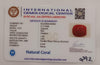 Natural Red Coral | Certified |Capsule Cut Gemstone Summary No. IGCDKBAJ44904 image 2