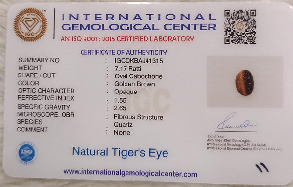Tiger Eye The Essence of Grounding and Strength Summary No IGCDKBAJ41315 image 2