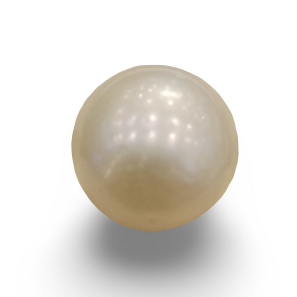 Natural South Sea Pearl (Moti) 16.11 ratti loose gemstone, IGC certified IGCDKBAJ42612