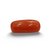 NaturalRed Coral | Certified| Capsule CutGemstone Summary No. IGCDKBAJ44872 image 0
