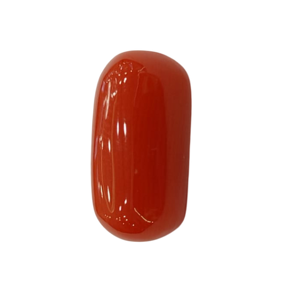NaturalRed Coral | Certified| Oval CutGemstone Summary No. IGCDKBAJ44732 image 1