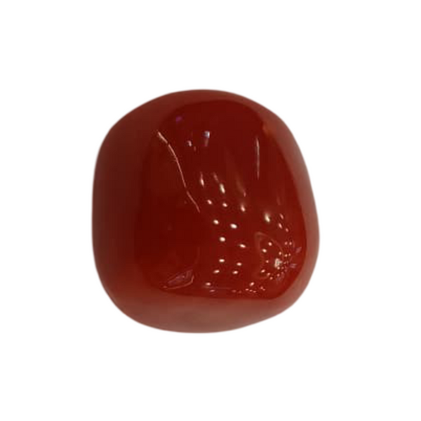 Natural Red Coral | Certified | Unusual Cut Gemstone Summary No. IGCDKBAJ44851 image 1