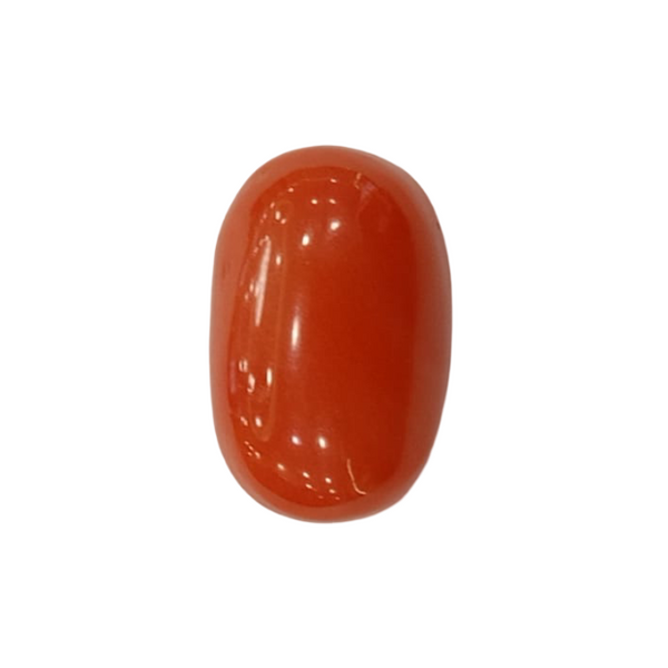 NaturalRed Coral | Certified| Oval CutGemstone Summary No. IGCDKBAJ44877 image 1