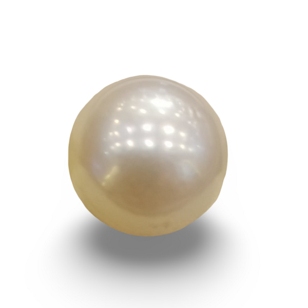Natural South Sea Pearl (Moti) 13.11 ratti loose gemstone, IGC certified IGCDKBAJ42644
