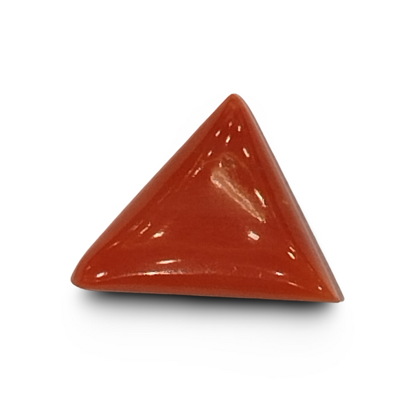 Natural Italian Red Coral | Certified Untreated | Triangular Cabochon No. IGCDKBAJ42431 image 0