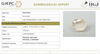 Natural Yellow Sapphire | Cushion Cut | Govt. Lab Certified | 8891D36277 image 1