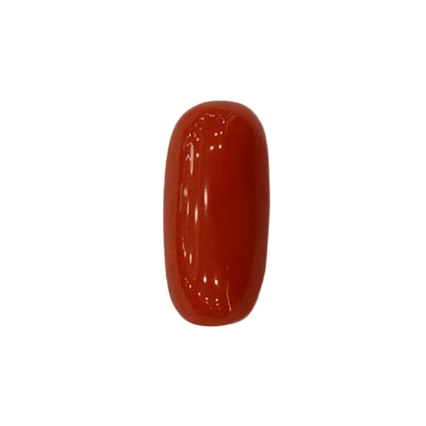 NaturalRed Coral | Certified| Oval CutGemstone Summary No. IGCDKBAJ44886 image 1