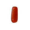 NaturalRed Coral | Certified|Capsule CutGemstone Summary No. IGCDKBAJ44975 image 1