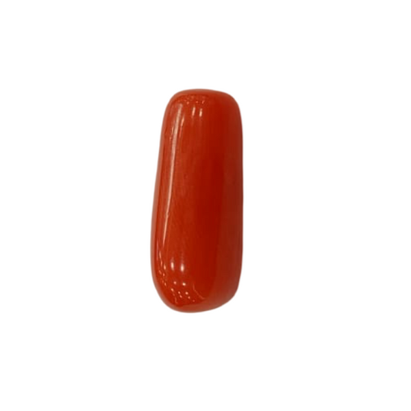 NaturalRed Coral | Certified|Capsule CutGemstone Summary No. IGCDKBAJ44975 image 1