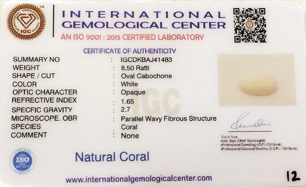 Natural White Coral: The Symbol of Peace and Strength Summary No IGCDKBAJ41483 image 2