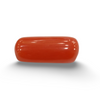 NaturalRed Coral | Certified| Capsule CutGemstone Summary No. IGCDKBAJ44968 image 0